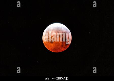 Blutmond am schwarzen Himmel Stockfoto