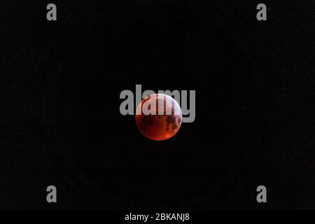 Blutmond am schwarzen Himmel Stockfoto