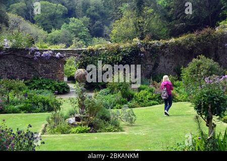 Frau, die an einer Steinskulptur einer Sonnenuhr im ummauerten Garten des Hartland Abbey Estate and Gardens, North Devon, vorbei geht. England, Großbritannien. Stockfoto