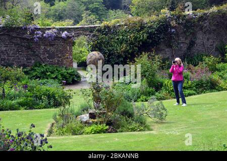 Frau, die Fotos von der Steinskulptur einer Sonnenuhr im ummauerten Garten des Hartland Abbey Estate and Gardens, North Devon macht. England, Großbritannien. Stockfoto