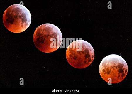 Blutmond am schwarzen Himmel Stockfoto