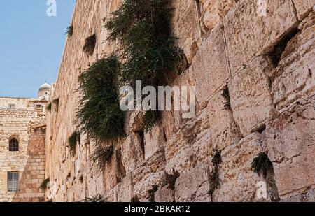 Detaillierte Nahaufnahme eines Teils des alten zweiten Tempels Westmauer kotel in jerusalem mit der Kuppel der al aqsa Moschee im Hintergrund Stockfoto