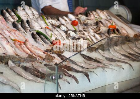 Frischer Fisch aus dem Mittelmeer Stockfoto