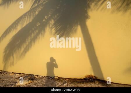 Selbstporträt des Fotografen im Schatten Stockfoto