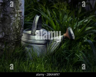 Antike Gießkanne im Garten bei Nacht Stockfoto