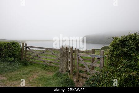Loe Pool, Cornwall, Großbritannien. Mai 2020. Penrose ist eine Mischung aus reichen Ackerland und Wäldern rund um Cornwalls größten natürlichen See, Loe Pool. Kredit: kathleen White / Alamy Live News Stockfoto