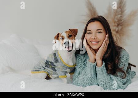 Horizontale Aufnahme von schönen Brünette Hündin in Freizeitkleidung, liegt auf weißen Bettdecken mit Stammbaum Hund, drückt Glück, genießt Gesellschaft von Haustier, Ruhe Stockfoto