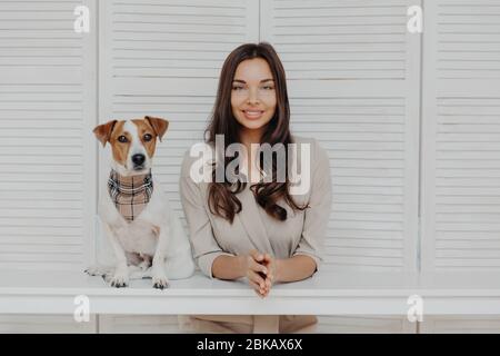 Charmant wunderschöne Europäische Frau mit dunklen langen Haaren schaut direkt an der Kamera, hält die Hände zusammen, niedlichen Pedigree Hund Posen in der Nähe, spielen zusammen, haben Stockfoto