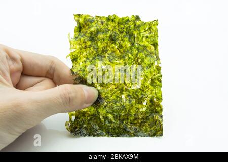 Nahaufnahme der Hand, die ein Stück gerösteten Seetang Blatt auf weißem Hintergrund isoliert hält. Stockfoto