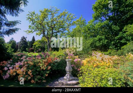 Dekorative Schrift im Brodick Castle Garten Stockfoto