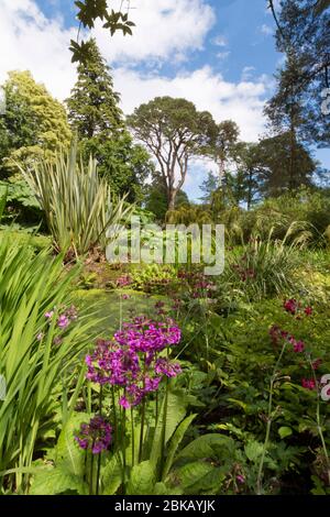 brodick Schlossgärten, arran Stockfoto