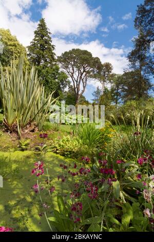 brodick Schlossgärten, arran Stockfoto