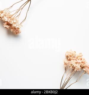 Getrocknete rosa Hortensien Blüten auf weißem Hintergrund. Blumenmuster, flaches Lay, Draufsicht, Kopierraum Stockfoto