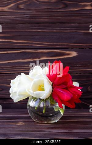 Bouquet von weißen und roten Tulpen auf dunklem Holzbrett Hintergrund. Urlaub Geschenk-Karte, Feier Rahmen. Modell mit Blumen. Kopierraum, leerer Platz fo Stockfoto