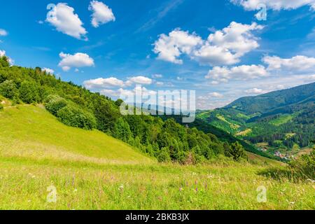 Felder und Wiesen der ländlichen Landschaft im Sommer. Idyllische Berglandschaft an einem sonnigen Tag. Gras bedeckte Hügel Rollen in den entfernten Grat darunter Stockfoto