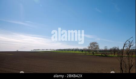 Malerischer Blick auf landwirtschaftlichen Feld gegen Sky Stockfoto