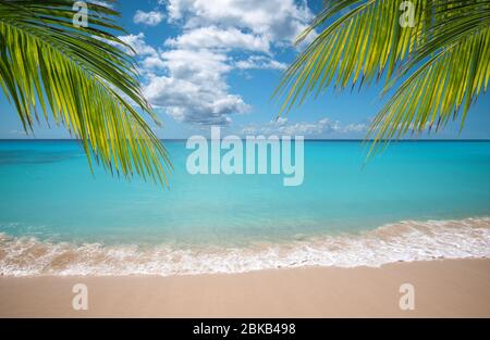 Tropisches Urlaubsparadies mit weißen Sandstränden und schwankenden Palmen. Stockfoto