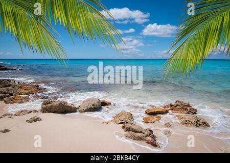 Tropischer weißer Sandstrand mit Felsen und Palmen, Sint Maarten, Karibik. Stockfoto