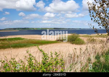 Hjarbæk/Hjarbaek Fjord, Viborg, Dänemark Stockfoto