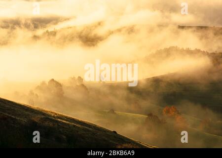 Herbstuntergang in den Bergen. Baumspitze zwischen dem Nebel, der durch Hügel rollt. Geheimnisvolle Naturlandschaft Stockfoto