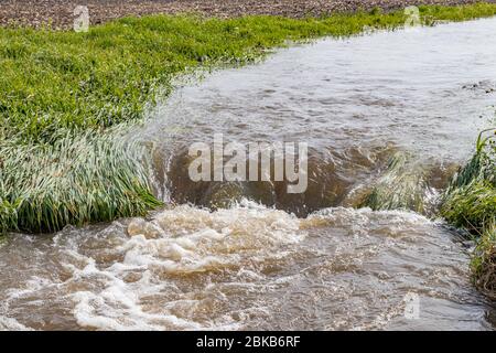 Wasser, das nach starkem Regen und Stürmen in der Farm Field Waterway floss, verursachte Überschwemmungen. Konzept der Bodenerosion, Kontrolle und Bewirtschaftung der Wasserabflüsse Stockfoto