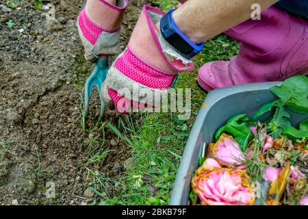 6 nicht identifizierte Gärtnerin Jäten einen Blumengarten mit einer Kunststoff-Gartengabel in einem ländlichen Garten Stockfoto