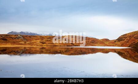 Beacon Tarn in den Blawith Fells mit dem schneebedeckten 'Old man of Coniston' in der Ferne, Lake District, England Stockfoto