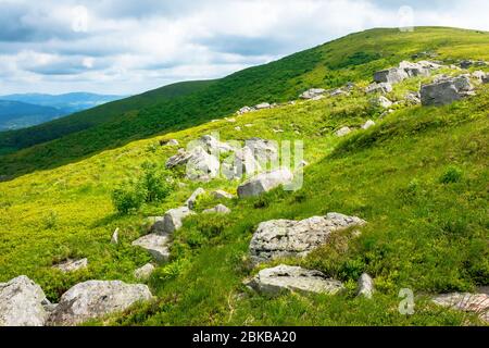 Weiße Felsen am Rande der Almwiese. Frische grüne grasbewachsene Hänge der Berglandschaft im Sommer. Entfernte Bergrücken Rollen in den Horizont. Sonnig w Stockfoto