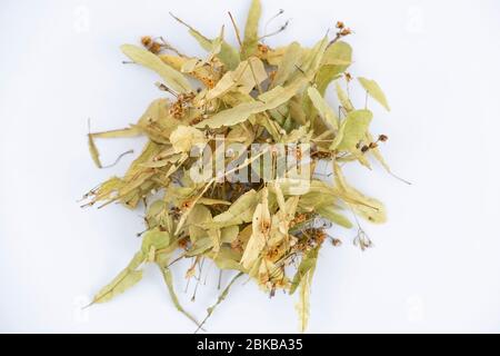 Lindentee auf isoliertem Hintergrund. Aromatischer und gesunder Kräutertee. Antioxidans und Schutz gegen infektiöse Erkältung. Stockfoto