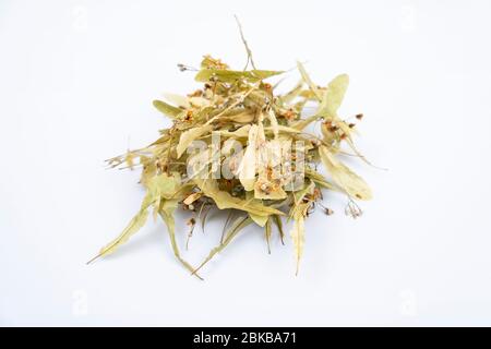 Lindentee auf isoliertem Hintergrund. Aromatischer und gesunder Kräutertee. Antioxidans und Schutz gegen infektiöse Erkältung. Stockfoto