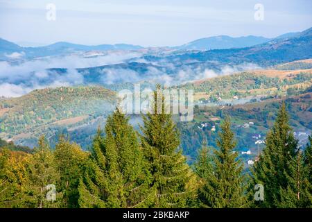 Berglandschaft am frühen Herbstmorgen. Offene Sicht mit Wald auf der Wiese vor einem fernen Tal voller Nebel. Atemberaubende Naturlandschaft. se Stockfoto