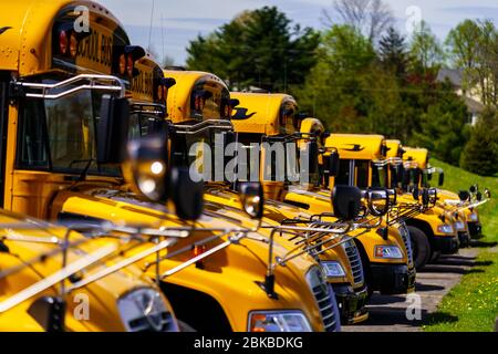 Mohnton, PA / USA - 2. Mai 2020: Eine Reihe geparkter Schulbusse auf einem Parkplatz in Berks County, Pennsylvania. Stockfoto