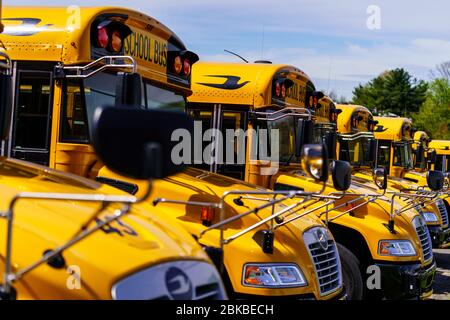 Mohnton, PA / USA - 2. Mai 2020: Eine Reihe geparkter Schulbusse auf einem Parkplatz in Berks County, Pennsylvania. Stockfoto