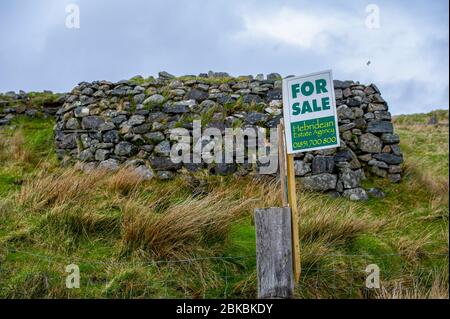 Verworrenes Steingrundstück zum Verkauf in Garenin, Isle of Lewis, Äußere Hebriden, Schottland. Stockfoto