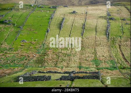 Verlassene Crofts in Garenin, Isle of Lewis, Schottland. Stockfoto