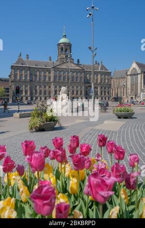 Amsterdam Niederländisches Stadtzentrum, Männer und Frauen auf Städtetrip im Frühjahr 2020 besuchen Paare die Stadt Amsterdam während des Ausbruchs Stockfoto