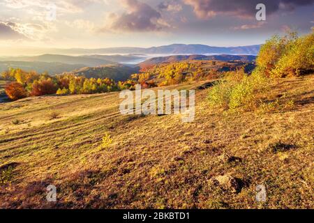Herbstaufgangszeit in bergiger Landschaft. Bäume in goldenem Laub auf der Wiese im verwitterten Gras. Entferntes Tal voller Nebel. Grat am Horizont Stockfoto