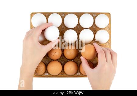 Weibliche Hände nehmen Hühnereier aus einem Kunststoff-Eierschale. Draufsicht, isoliert auf weiß. Stockfoto