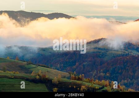 Herbstuntergang in den Bergen. Baumspitze zwischen dem Nebel, der durch Hügel rollt. Geheimnisvolle Naturlandschaft Stockfoto