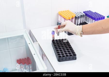 Covid-19, Coronavirus, Pandemie und Viren Konzept - Hand hält Blut in Reagenzgläsern im Labor. Stockfoto