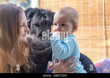 Junge Mutter schaut auf ihr Baby. Der Kopf ihres Schnauzer-Hundes ist dazwischen. Stockfoto