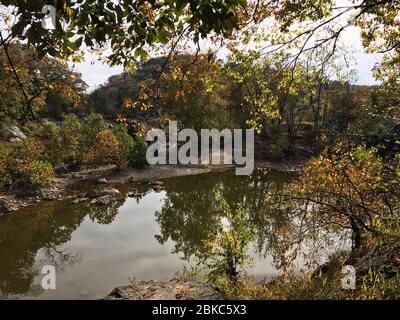 Teich entlang Wanderweg in Great Falls, VA im Herbst Stockfoto