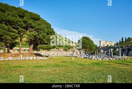 Die kommerzielle Agora in der antiken Stadtruine von Ephesus, Türkei bei Selcuk mit bewaldeten grünen Baumkopien Raum. Stockfoto
