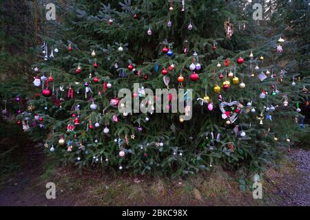 Weihnachtsbaum mit Bauble-Dekor - Yorkshire, England, UK Stockfoto