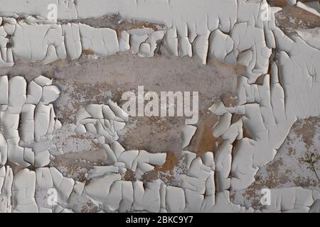 Alte weiße, stark rissige Farbe auf einer Holzoberfläche. Kreativer Vintage-Hintergrund. Stockfoto