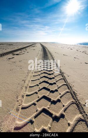 Die Spur eines Geländewagens ist im Sand am Strand in den Niederlanden sichtbar. Das Auto grub sich tief in den weichen Boden. Stockfoto