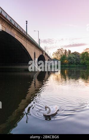 Brücke über die themse in richmond uk Stockfoto