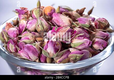 Rosenknospen für Tee. Gesunde und organische Kräutertee-Zutat. Aromatische asiatische Kräuter. Stockfoto