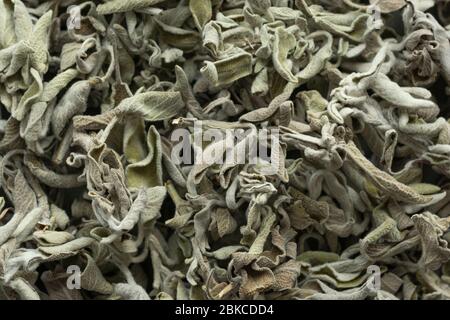 Trockene Salbeiblätter. Organische und gesunde Teezutaten. Stockfoto