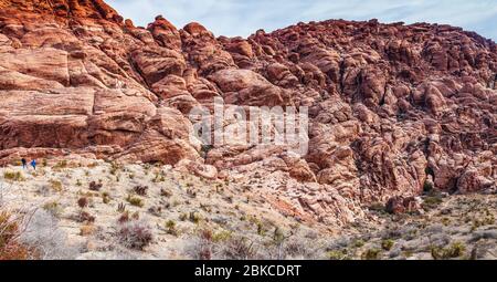 Calico Hills im Red Rock Canyon National Conservation Area in Nevada, in der Nähe von Las Vegas. Stockfoto